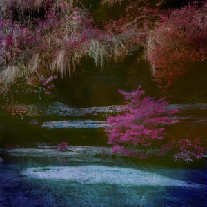 老头Daddy激情tabe
