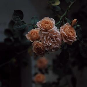 老头Daddy激情tabe
